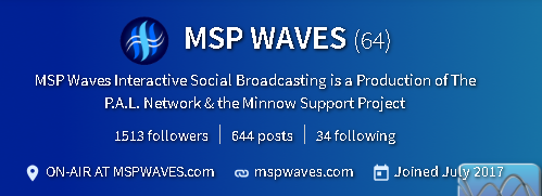 msp-waves.png