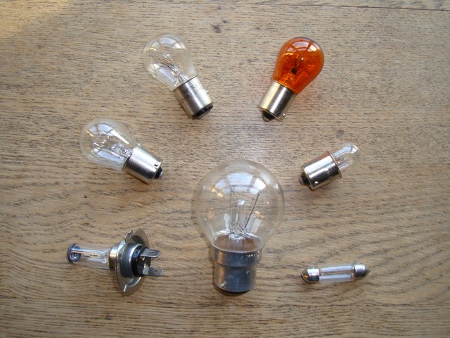 bulb 003.JPG
