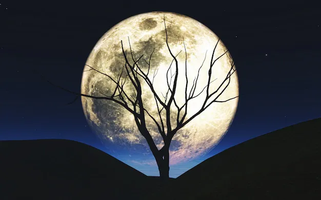 3d-halloween-background-with-tree-silhouetted-against-moon_1048-8794.webp