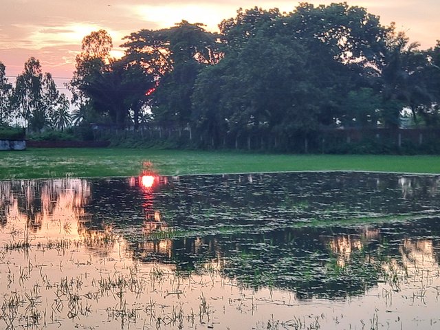 20250716_184204.jpg