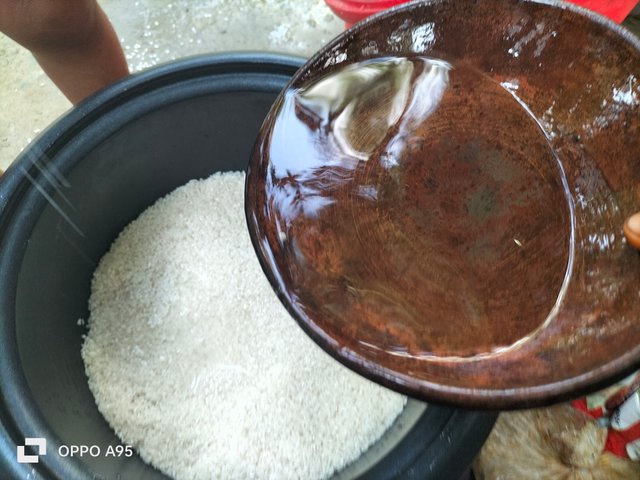 IMG20250612171936.jpg