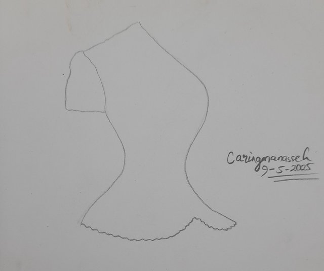 20250509_174748.jpg