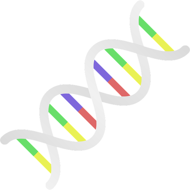 dna-3500555_640.png