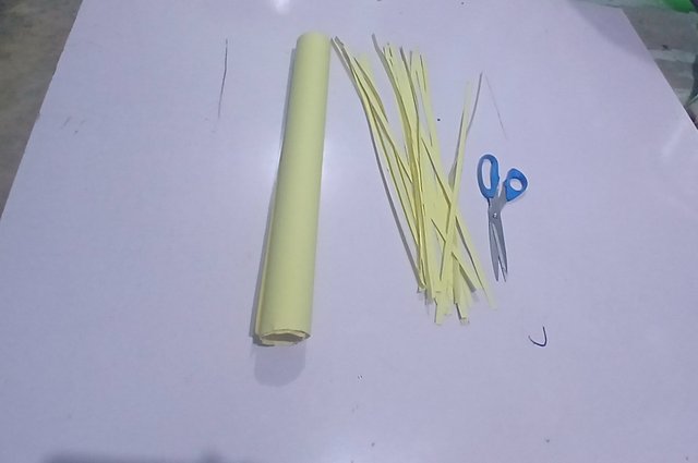 1000077396.jpg