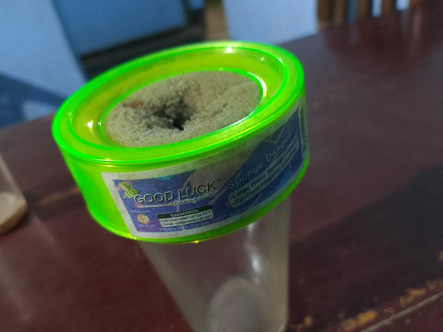 1000026128.jpg