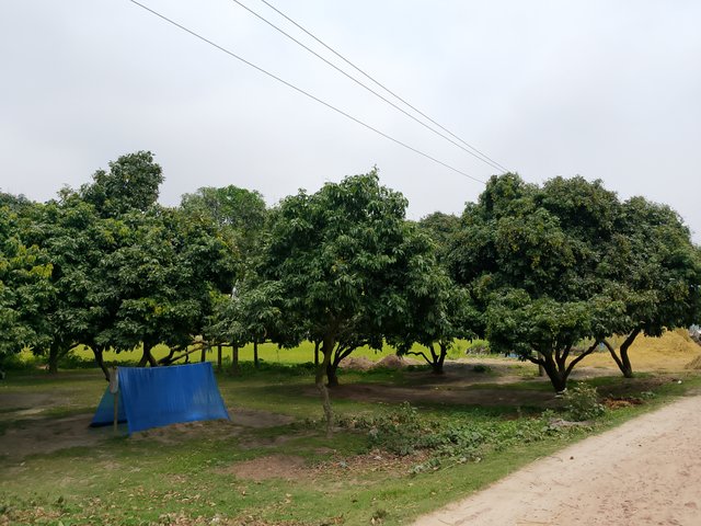1000037624.jpg