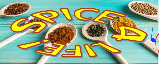 Spice4life image.jpg