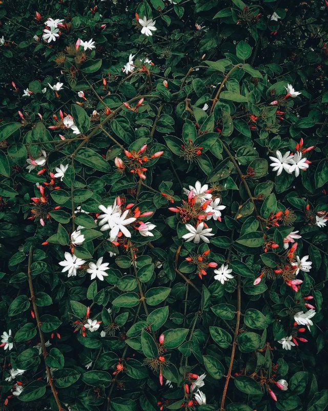 273122130_312060704293275_3563341256141689725_n.webp (1).jpg