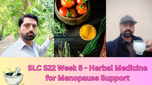 SLC S22 Week 3 - Herbal Medicine for Men's Hormonal Health_20250119_162735_0000.png