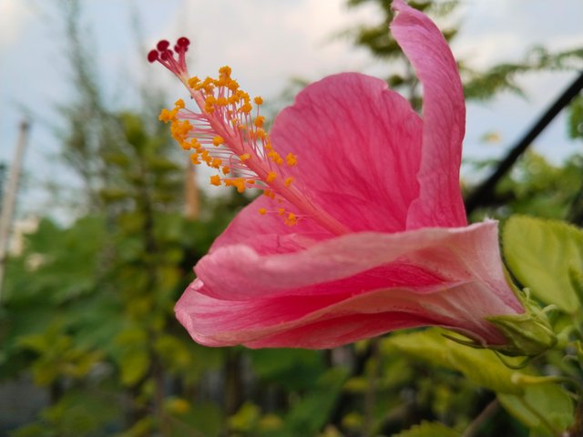 IMG_20250612_174242.jpg