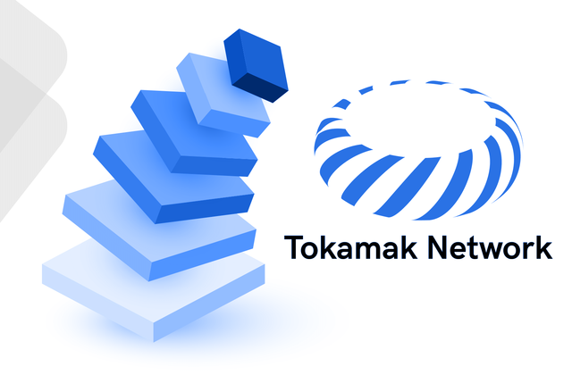 TokamakNetwork.png