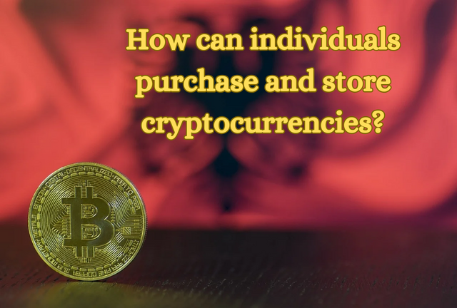 How can individuals purchase and store cryptocurrencies__20240509_194647_0000.png