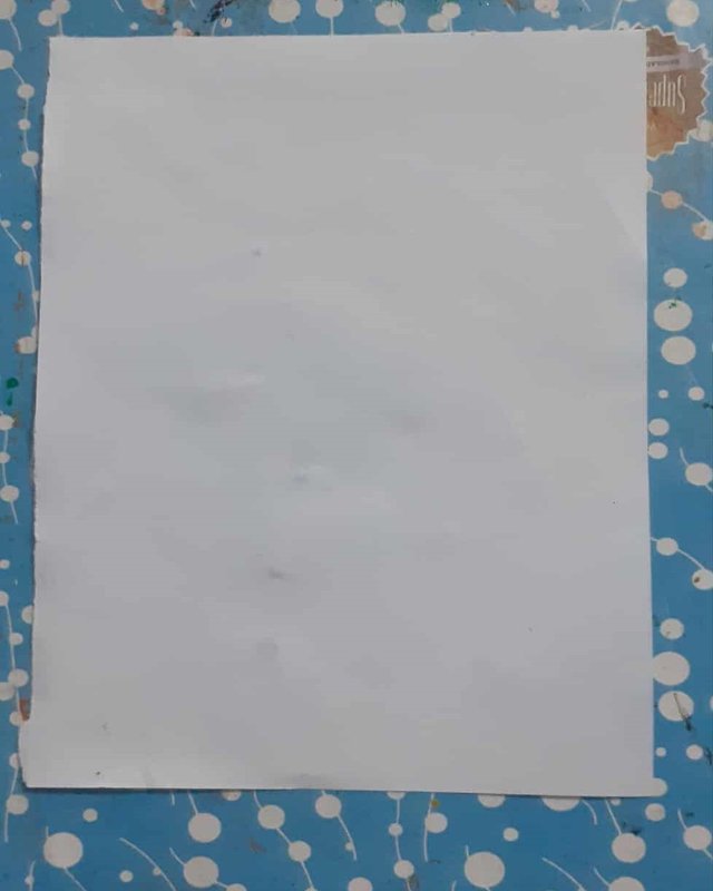 m5.jpg