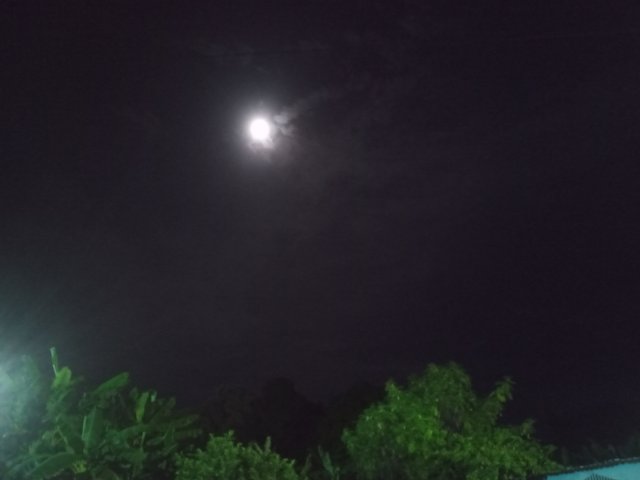 IMG_20250807_211154_535.jpg