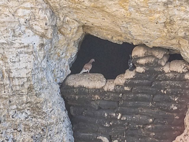 Rosh HaNikra