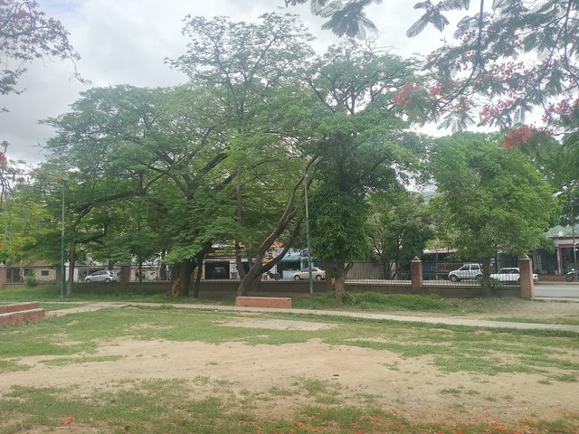 IMG_20250610_102252_671.jpg