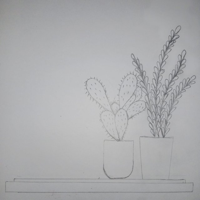 1000067750.jpg