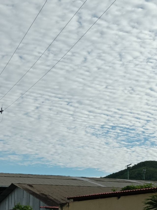 Alfombra de nubes en el cielo.jpg