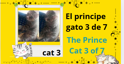 cat3.PNG