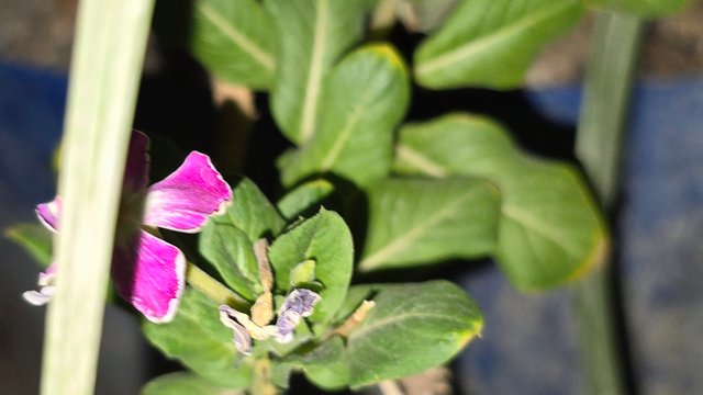 20250706_021745.jpg