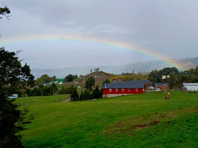 20250912_160340.jpg