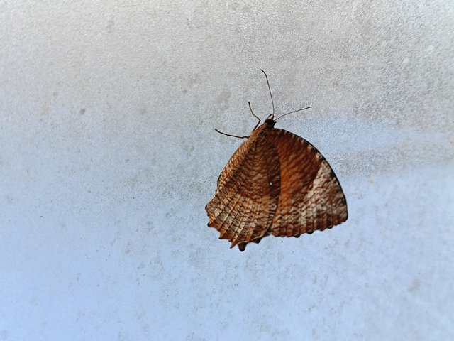 1000053538.jpg