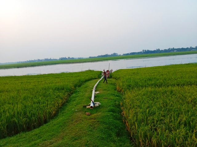 IMG_20250425_093058.jpg