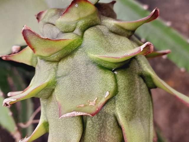20250706_094714.jpg