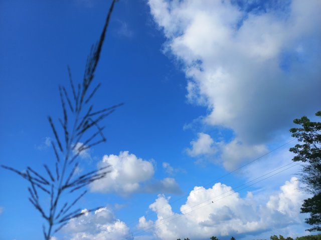 20231001_154523.jpg