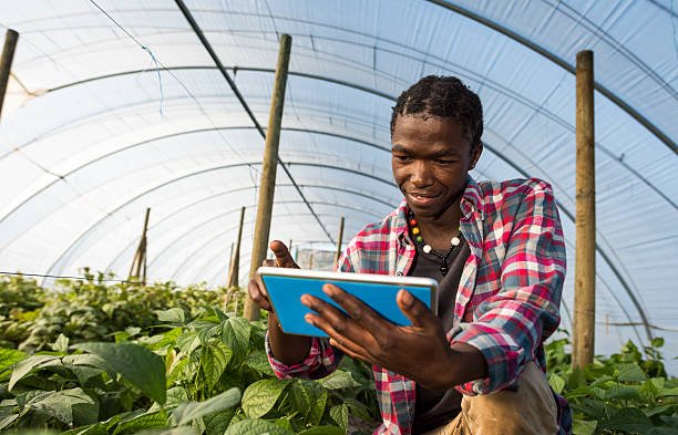 young-african-man-checking-tablet-information-in-greenhouse-picture-id538326310.jpg