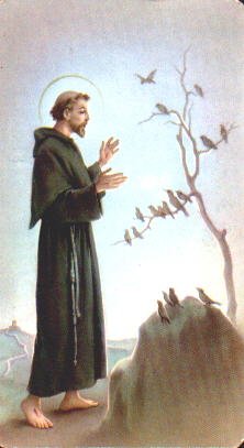 Saint Francis of Assisi.jpg