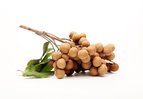 longan-1290167__340.jpg