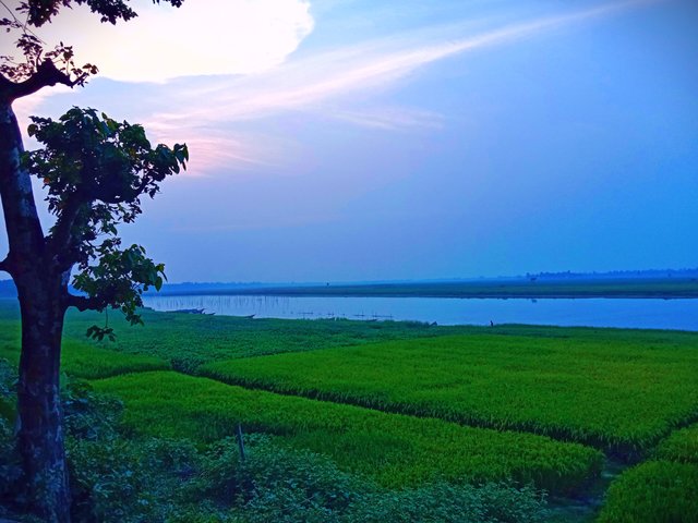 IMG_20250508_194205.jpg