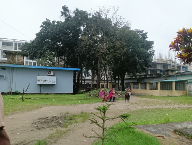 IMG20250910095939.jpg