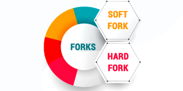 Cryptocurrency-Forks-Explained.png
