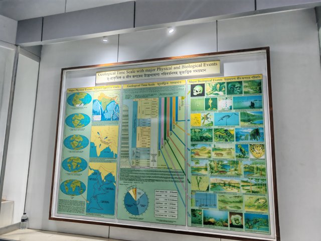 1000061420.jpg