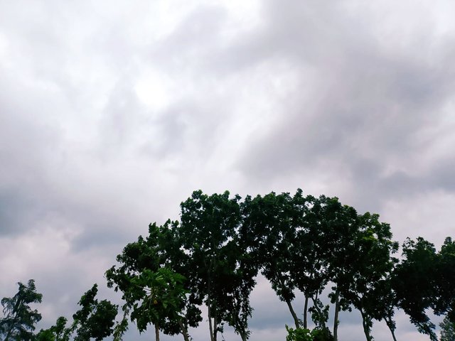 IMG_20251021_224414.jpg