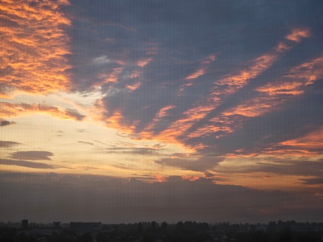 836172c2-4fb4-4c3c-ac55-576a29996256-1_all_55131.jpg