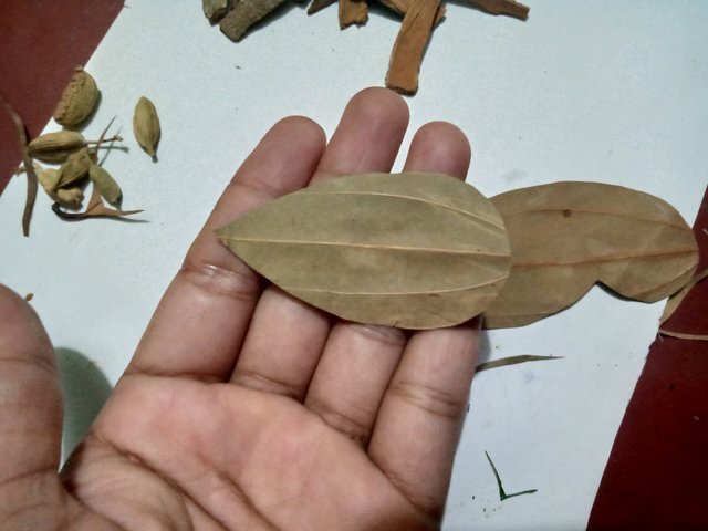IMG20250814142331.jpg