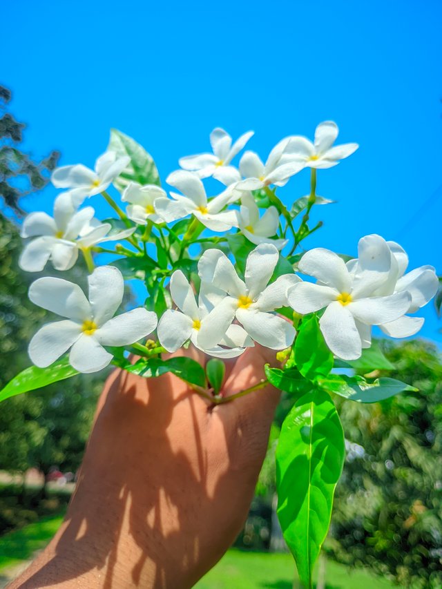 1000014404.jpg