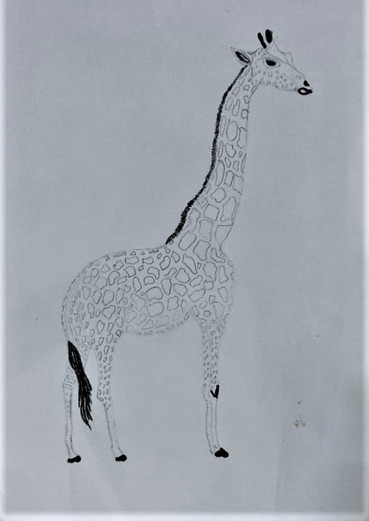 WhatsApp Image 2023-08-16 at 22.34.13 (2).jpg