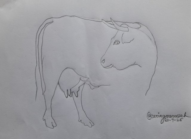 20250720_173306.jpg