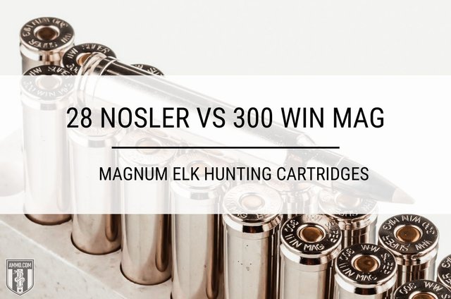 28-nosler-vs-300-win-mag-hero-image.jpg