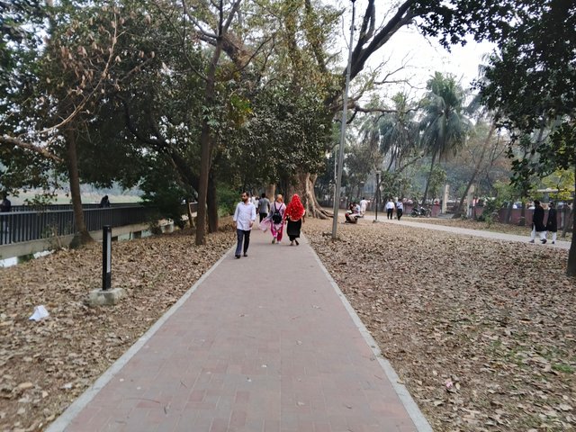IMG_20250227_171842_609.jpg