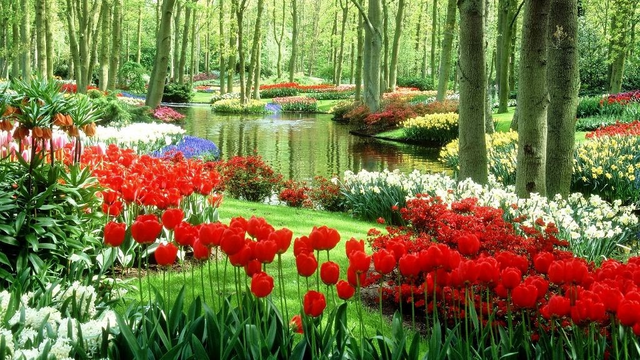 beautiful flower gardens of the world