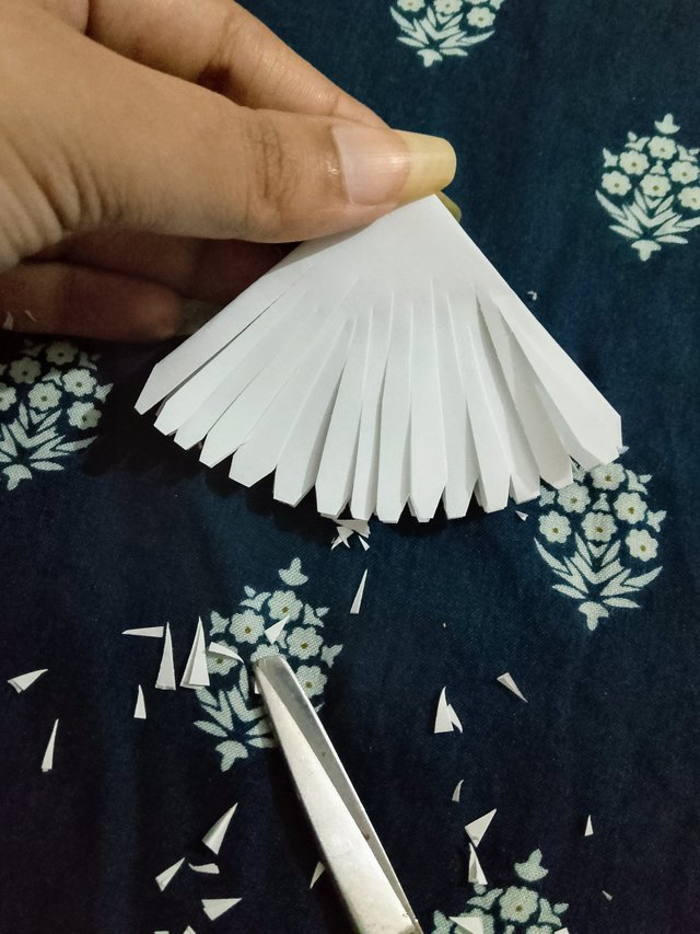 1000083067.jpg