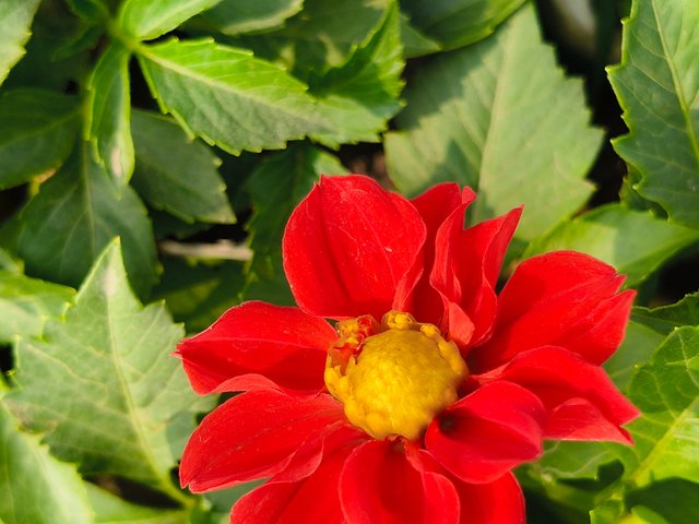 IMG20250122111831.jpg
