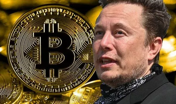 elon-musk-news-Tesla-bitcoin-cryptocurrency-price-surge-dogecoin-1-1499786.jfif