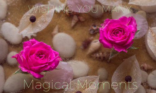 MAGICAL MOMENTS.png