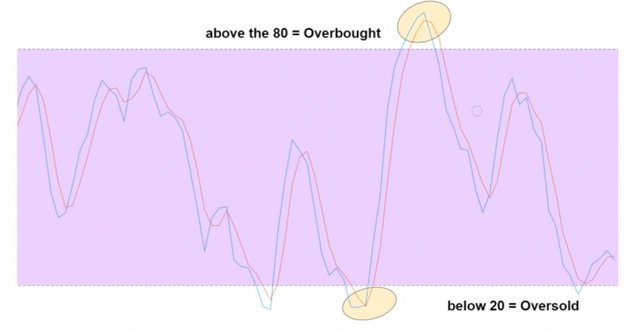 cach-doc-chi-bao-dao-dong-stochastic-oscillators-va-xung-luc-ve-gia-price-momentum.JPG